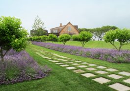 The Advantages Of Using Artificial Grass