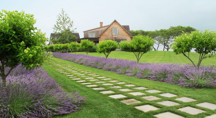 The Advantages Of Using Artificial Grass