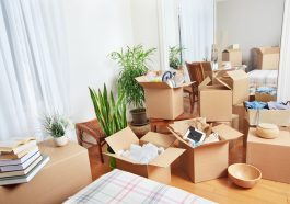 Obtaining a Professional Removal Company