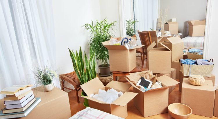 Obtaining a Professional Removal Company