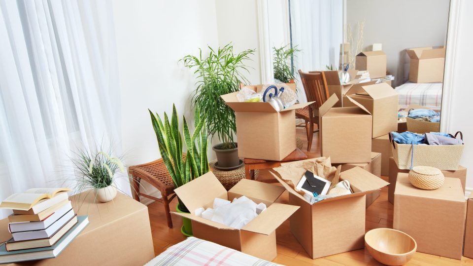 Obtaining a Professional Removal Company
