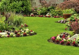 Save A small fortune - 24 Great Water Conservation Tips